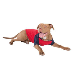 ¾ sleeve dog raglan t-shirt (BB953)