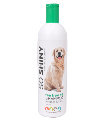 BI Tea Tree Oil Pet Shampoo For Soft & Shiny Coat 500 ml