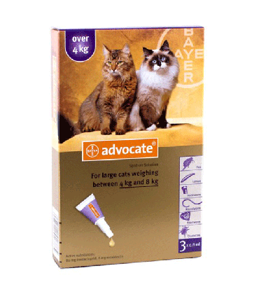 Bayer Advocate Large Cat 4 kg Anti Ticks and Fleas for Cats