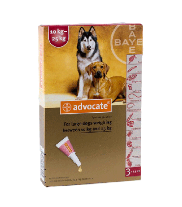 Bayer Advocate Large Dogs 10 kg - 25 kg