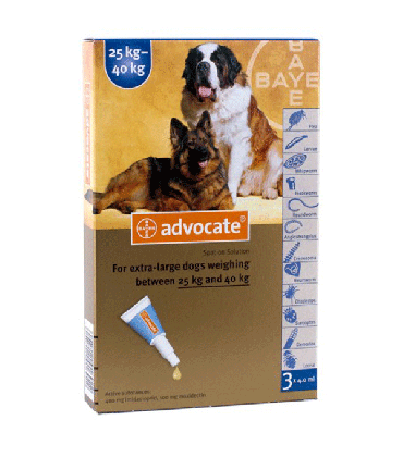 Bayer Advocate XL Dogs 25 kg - 40 kg Anti Ticks and Fleas for Dogs