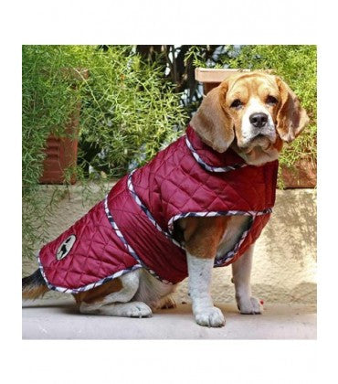 HUFT Grrrberry Dog Jacket-BurgundY-4XL