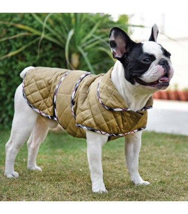 HUFT Grrrberry Dog Jacket-Gold-M