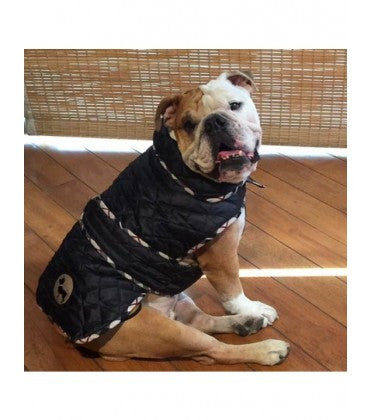 HUFT Grrrberry Dog Jacket-Black-5XL