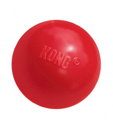 Kong Aqua Dog Toy - Medium