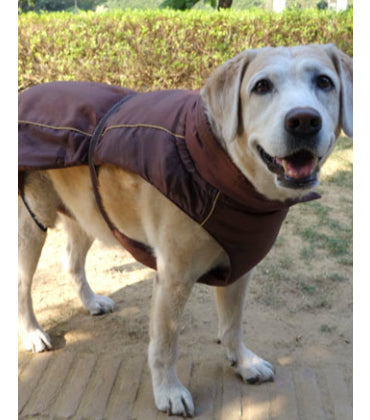 HUFT Supaw Dog Jacket - 3XL